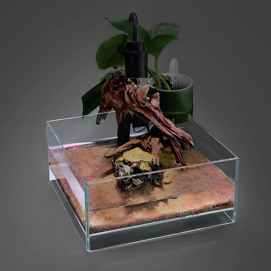 LANDEN Glas-Luft-Aquarium-Tank, Multi-SceneLandschafts-Aquarium, randlos, eisenarmer, Flacher Tank,