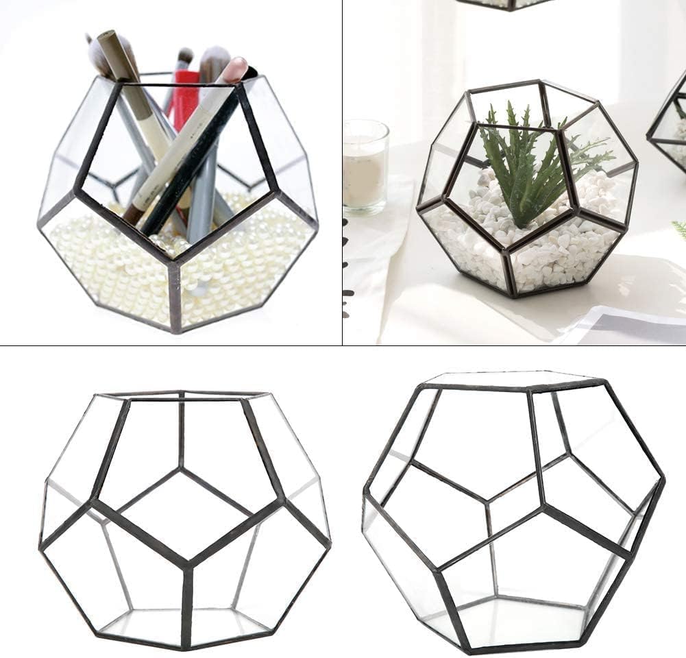 Geometrische Dekorative Terrarium Cube Geneigte Klarglas Pflanzer Tischplatte Schwarz Kleine Air Pla