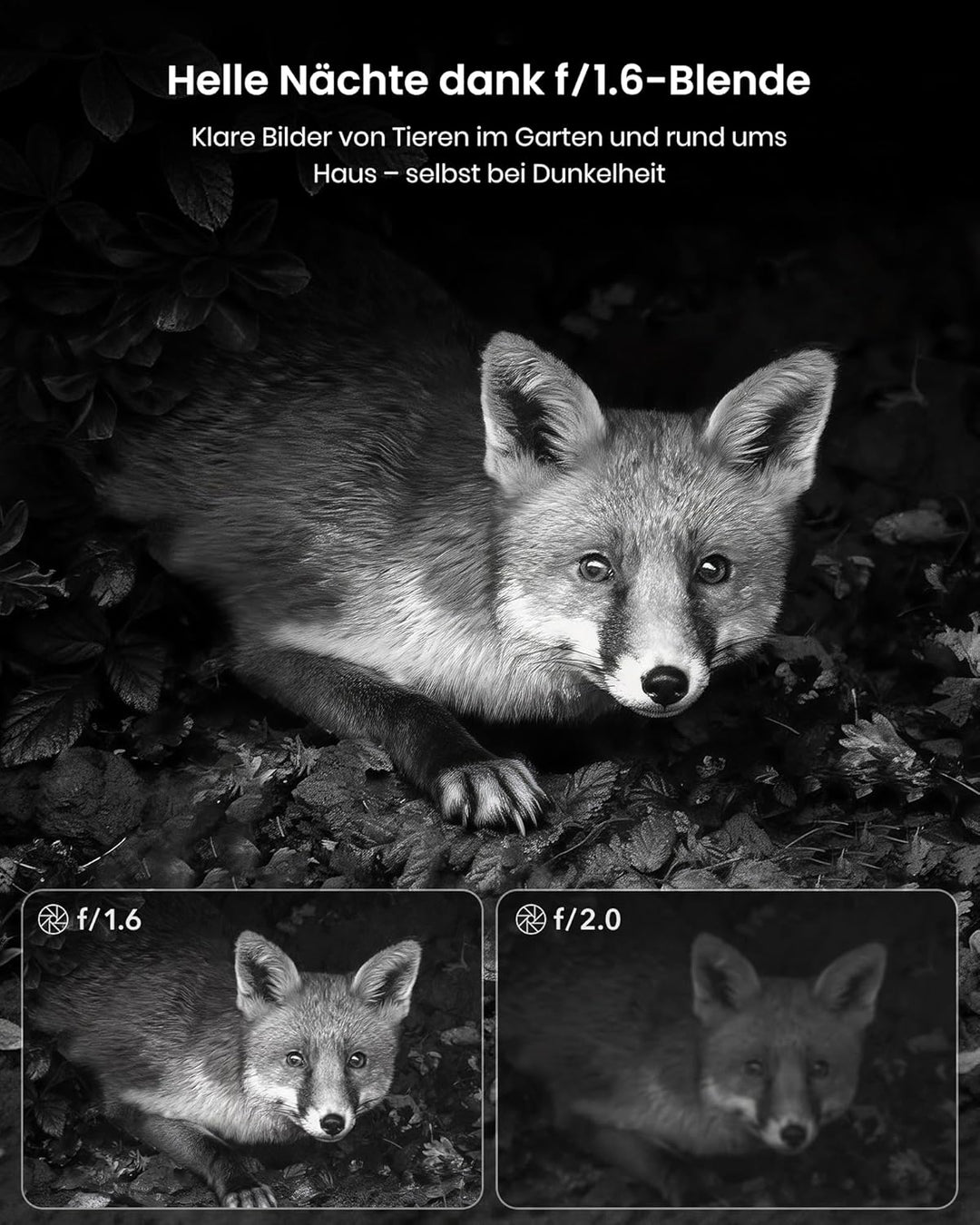 Misstech 4K UHD Solar Wildkamera mit Handyübertragung App, 64MP Solarbetriebene Wildtierkamera mit 0