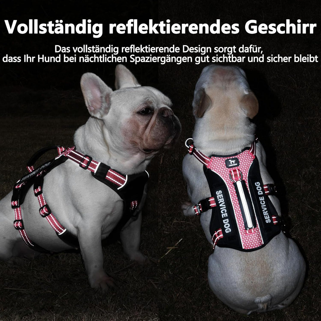 Huntboo Hundegeschirr Kleine Hunde, Sicherheitsgeschirr Hund Ausbruchsicher mit 6 Patches, Service G