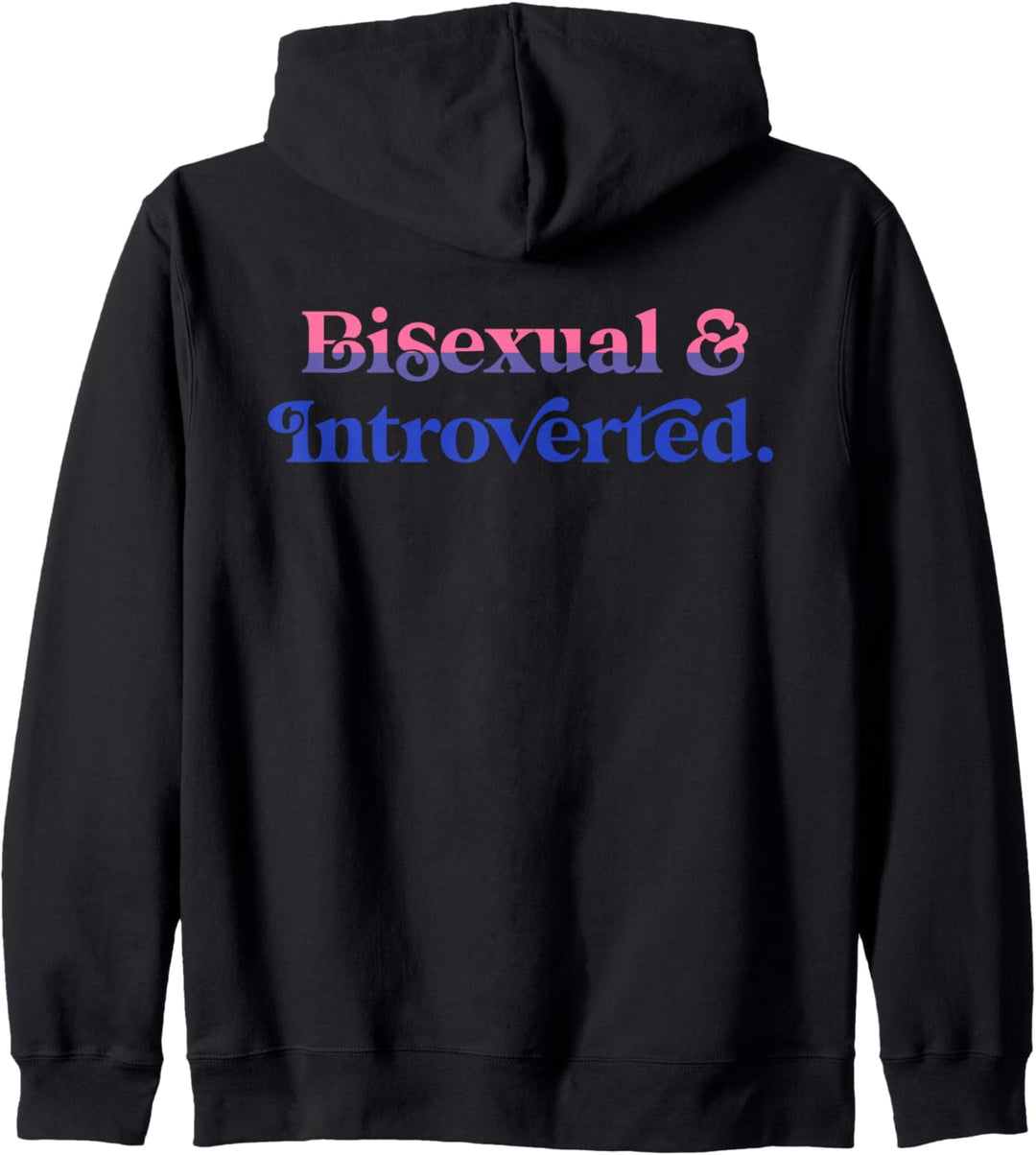 Bisexual And Introverted Funny Aesthetic LGBTQ Pride Flag Kapuzenjacke