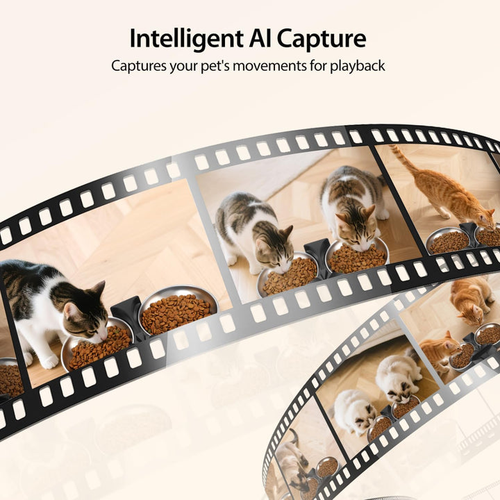 Nobleza 6L Futterautomat Katze 2 Näpfe mit 1080P Kamera, 5G WiFi Katzen Futterautomaten mit APP & Na