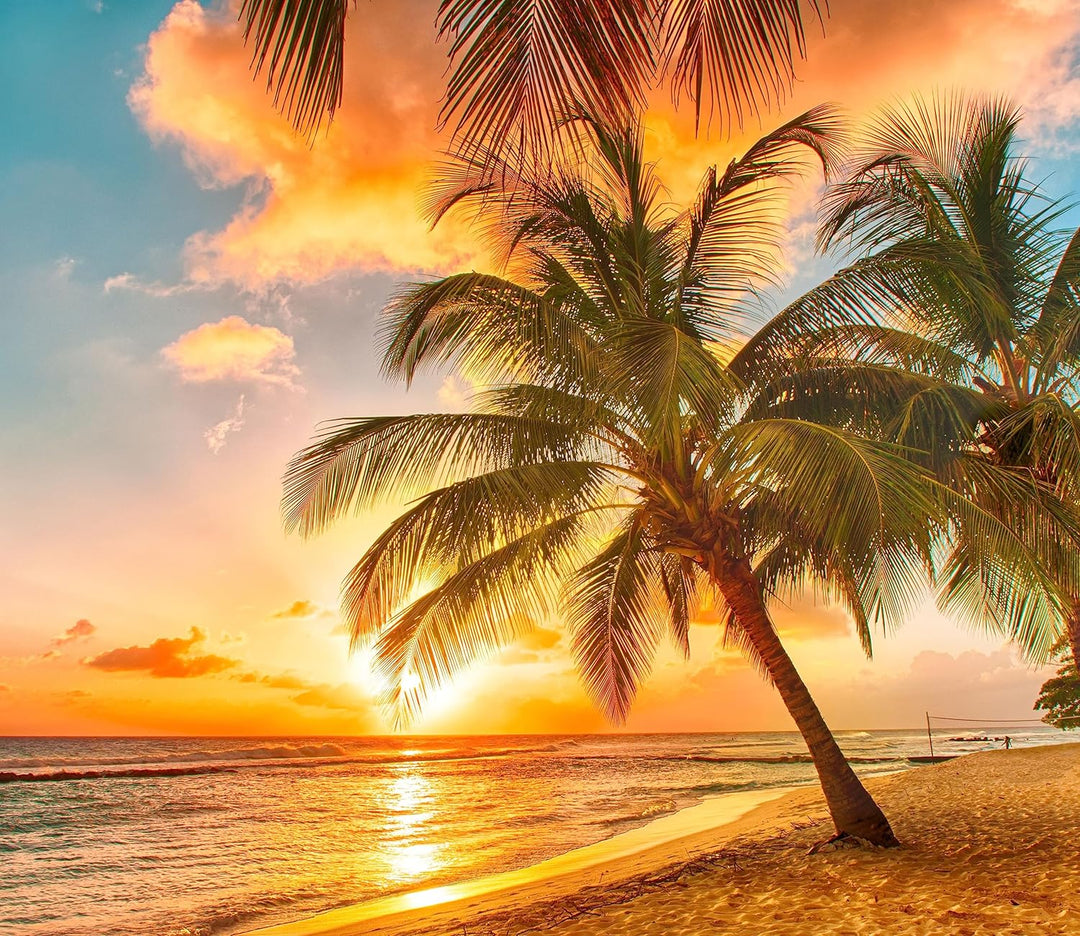 Palmen im Sonnenuntergang auf Barbados Herdabdeckplatte & Spritzschutz aus Echtglas | Für Herd-Kochf