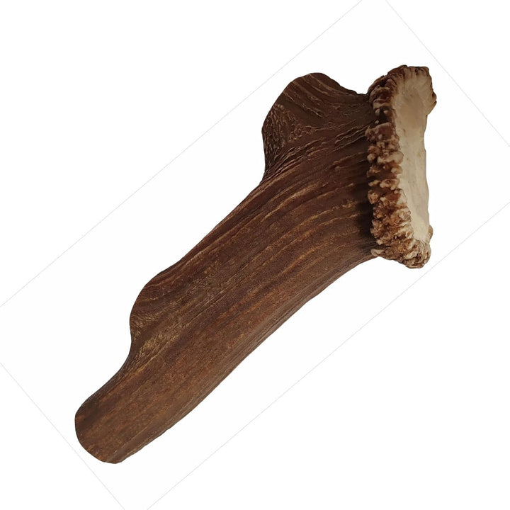 ARTISAN GIFT CO Hundesnack Rothirsch Geweih Kausnack -100% Natürlicher - Mindestgewicht 295 Gramm (X