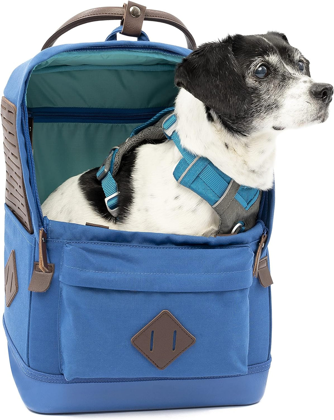 Kurgo Nomad Hunderucksack, Blau, Blau