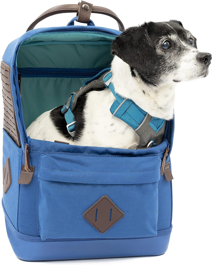 Kurgo Nomad Hunderucksack, Blau, Blau
