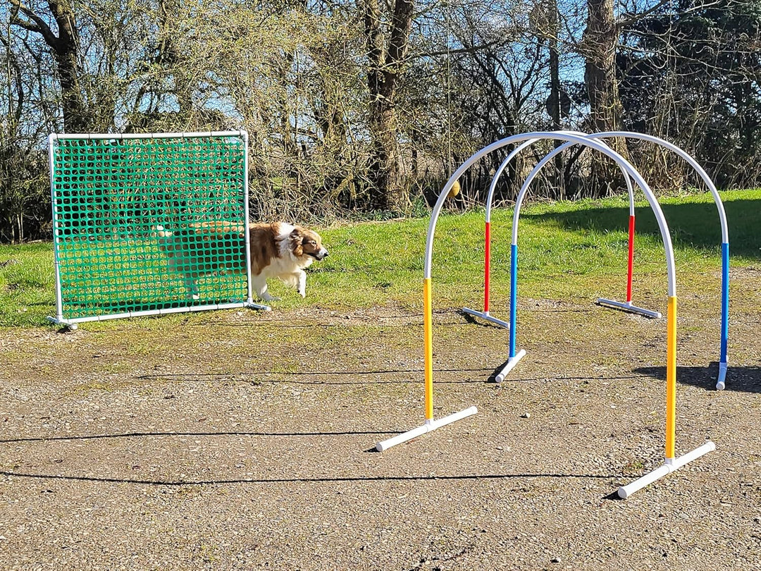 Generisch HOOPERS Agility Combi - Set / 1 Gate grün / 3 Hoopers Bögen, rot - blau - gelb/Gatter/Tren