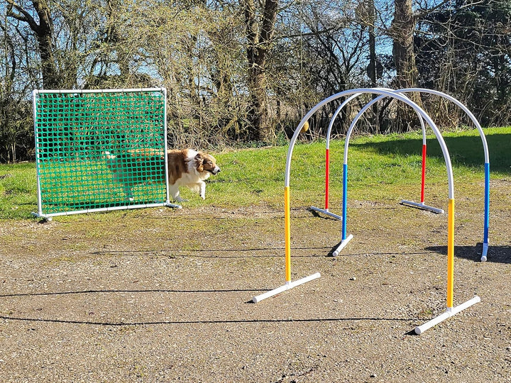 Generisch HOOPERS Agility Combi - Set / 1 Gate grün / 3 Hoopers Bögen, rot - blau - gelb/Gatter/Tren