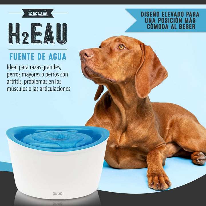 Zeus Trinkbrunnen für Hunde, weiss/blau + Ersatzreinigungsfilter für 6L H2EAU Trinkbrunnen für Hunde