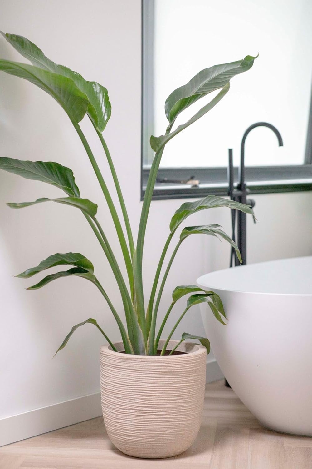 Capi Europe - Blumentopf Kugel Waste Rib NL - 35x34 - Terrazzo grau - Öffnung Ø29 - Blumentopf für d