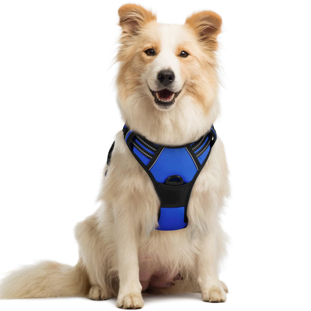 rabbitgoo Hundegeschirr Mittelgrosse Hunde Anti Zug Geschirr Hund mit Kontrolle No Pull Verstellbar