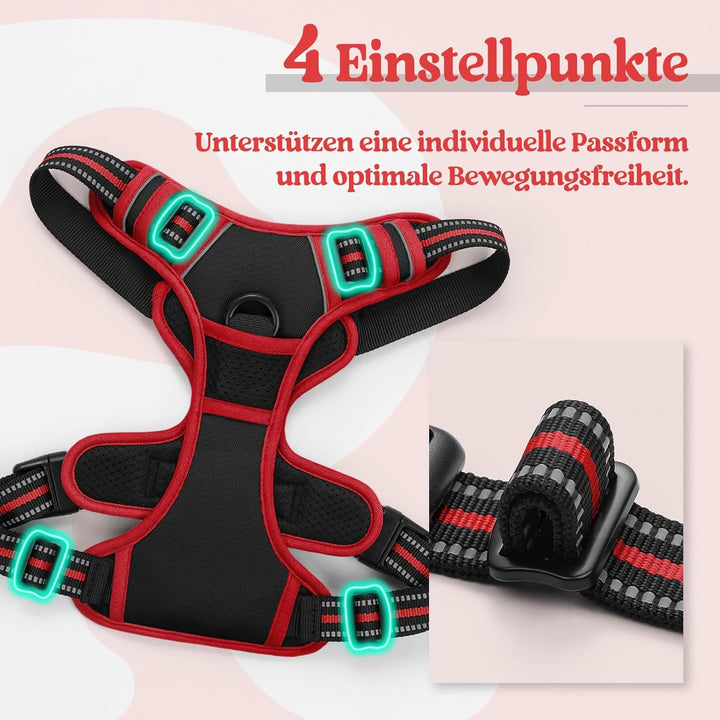 rabbitgoo Hundegeschirr Mittelgrosse Hunde, Anti Zug Geschirr mit Kontrolle, No Pull Verstellbar Hun