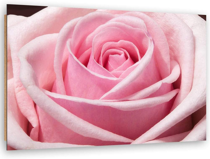 Wanddeko Blume Kunst modern Bilder Rose Rosa 100x70 cm M14557 100x70 cm, M14557 100x70 cm