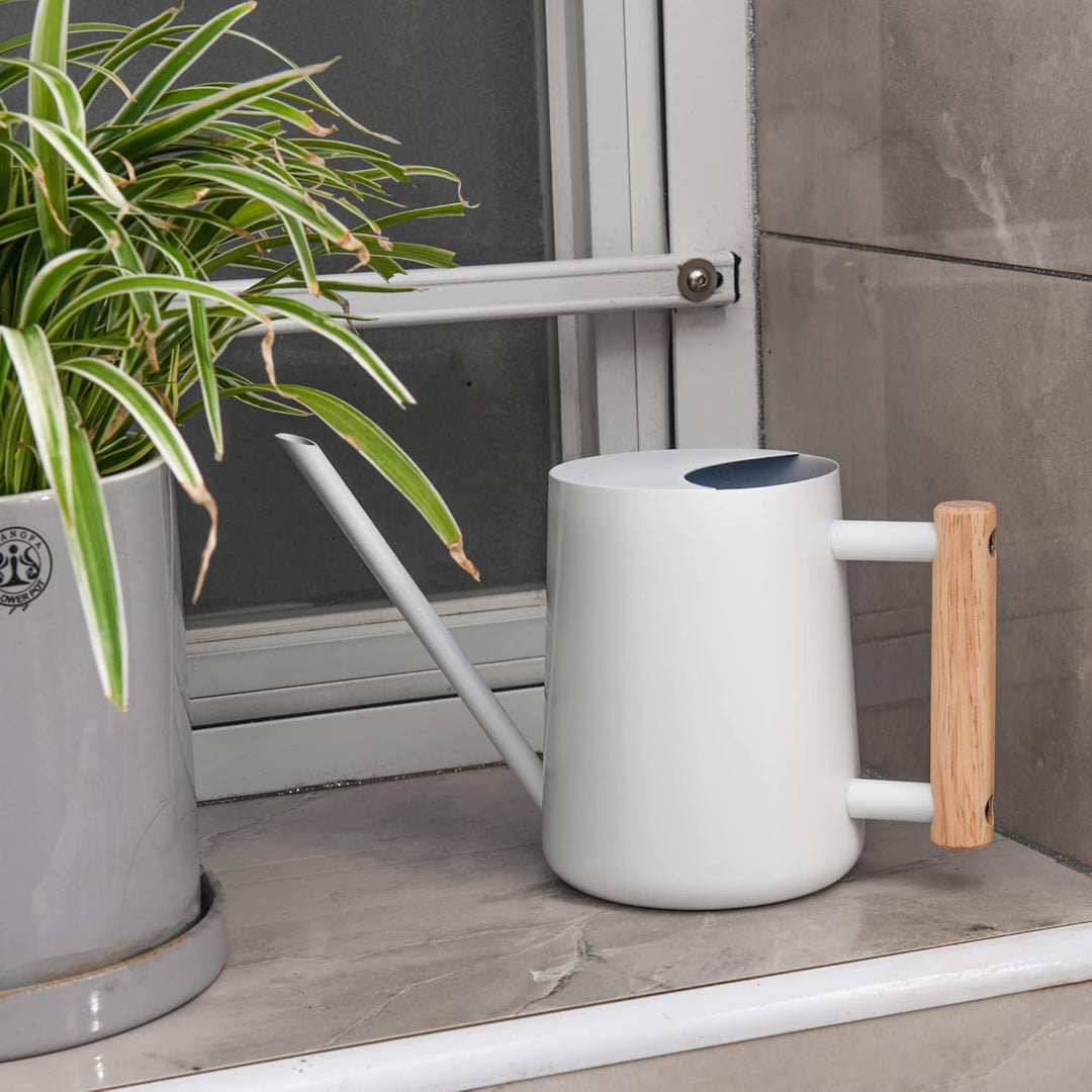 IMEEA Giesskanne Klein 1L Giesskanne Edelstahl Indoor & Outdoor Giesskanne mit langem Auslauf Bewäss