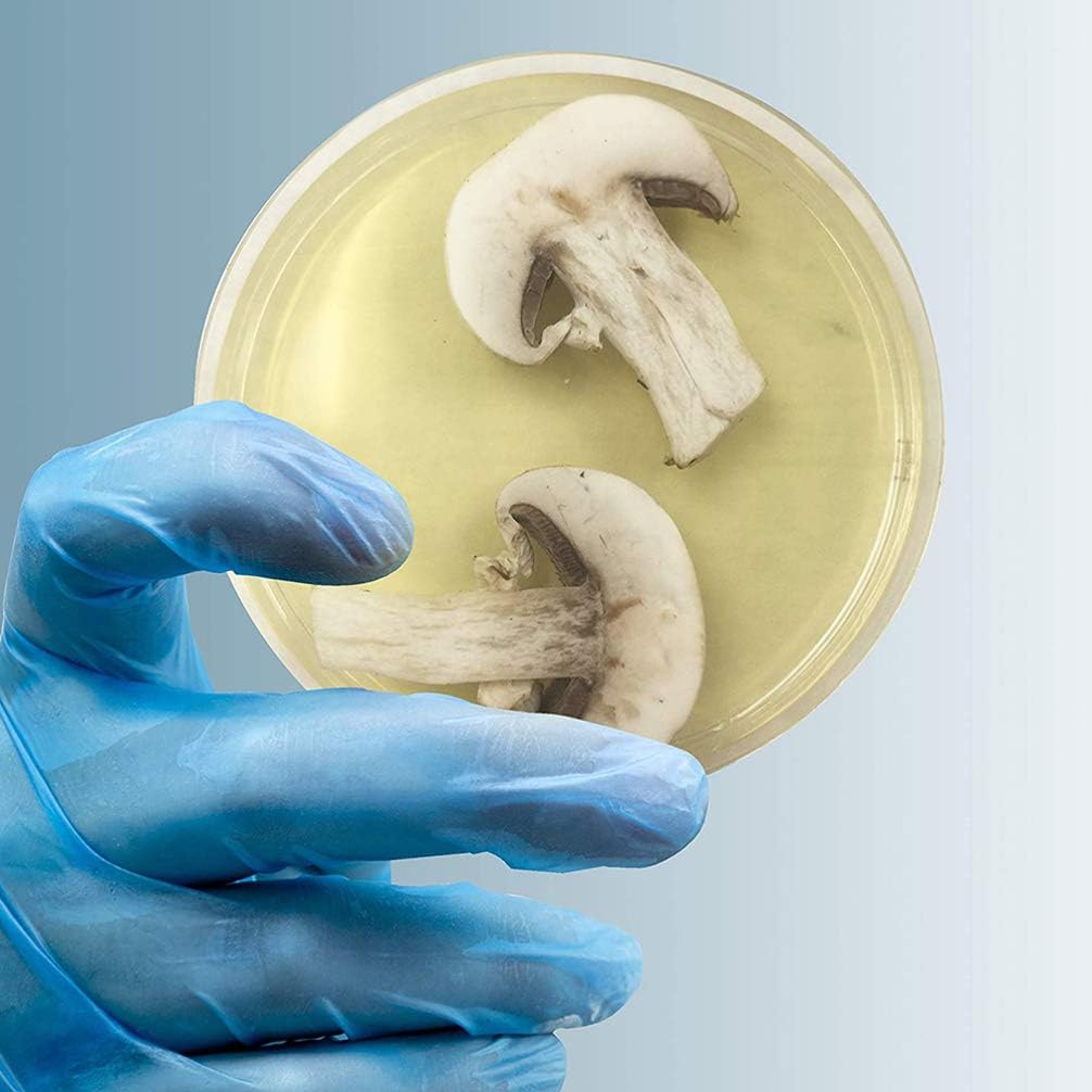 iplusmile Agar Platten Prepoured R2A Agar Platten mit Einweg Vakuum Verpackung Wissenschaft Experime