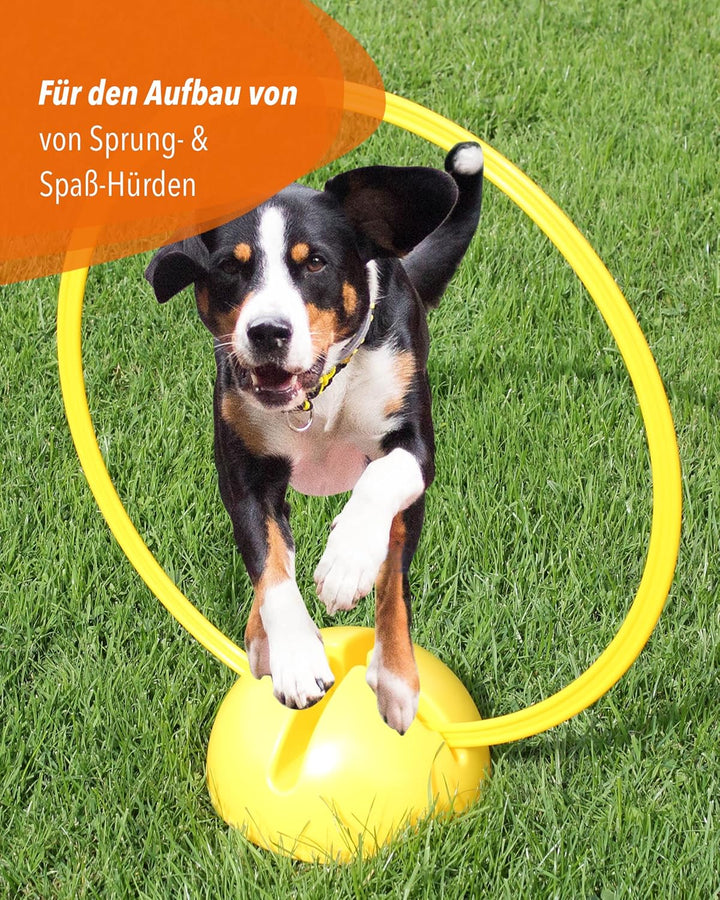 Trainingsringe – Bunt – 4er Set ø50cm – elastisch & bruchsicher – für Hundesport, Fussball & Schule