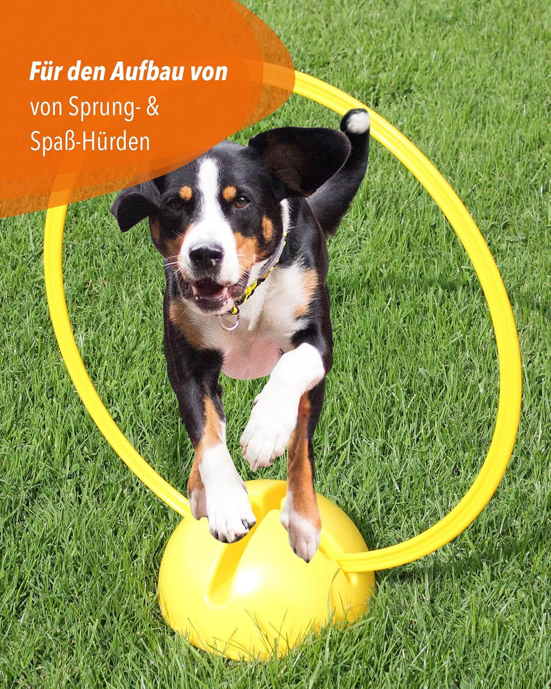 Trainingsringe – Rot – 4er Set ø50cm – elastisch & bruchsicher – für Hundesport, Fussball & Schule R