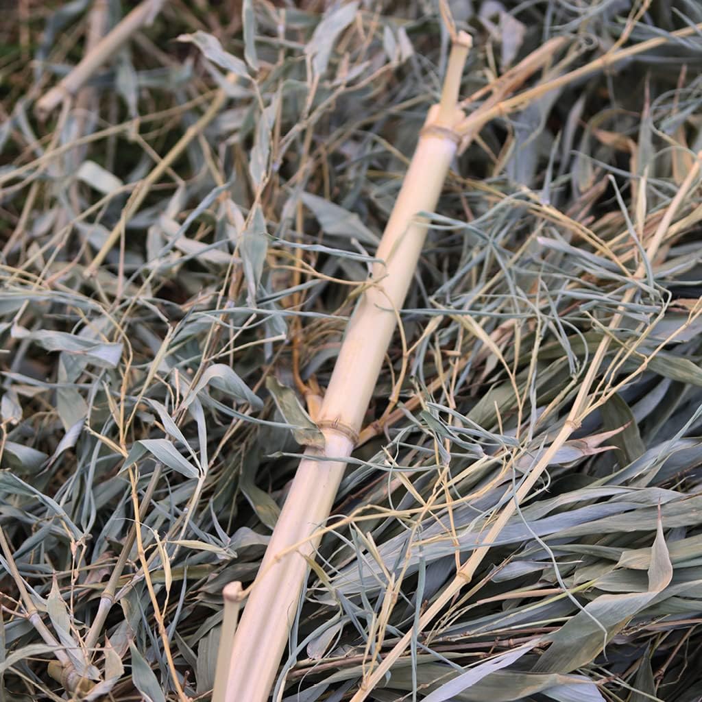 Bambus-Versteck - Besonders naturnahes und artgerechtes Wachtelversteck