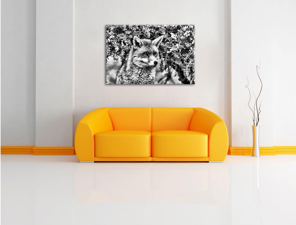 Pixxprint aufschauender Fuchs als Leinwandbild/Grösse: 100x70 / Wandbild/Kunstdruck/fertig bespannt,