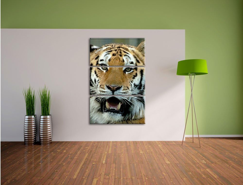 Pixxprint Tiger mit offenem Maul 3-Teiler Leinwandbild 120x80 Bild auf Leinwand