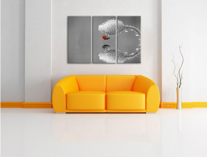Pixxprint Marienkäfer Mohnblume als Leinwandbild/Grösse: 3 Teilig (120x80 cm) cm/Wandbild/Kunstdruck