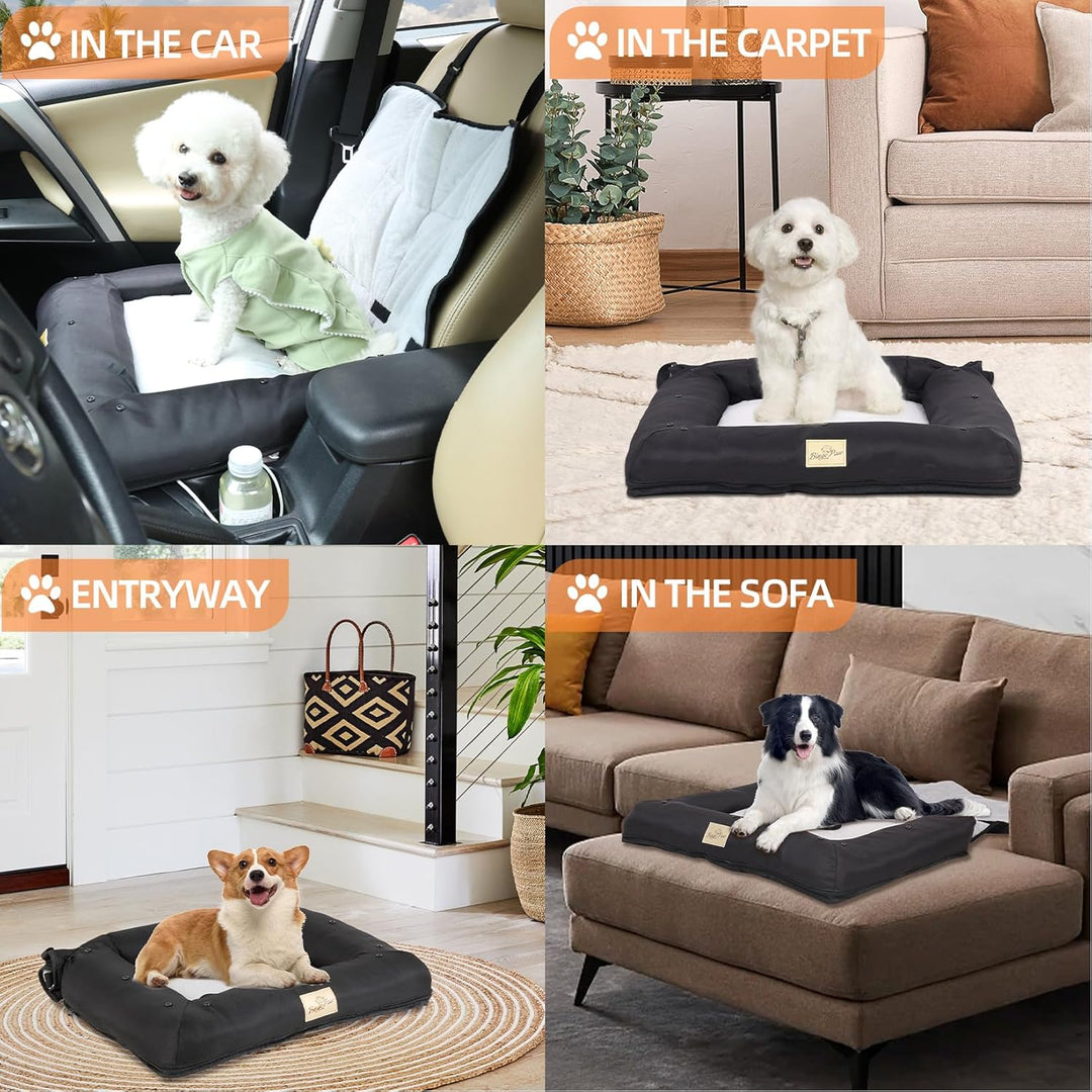 BingoPaw Hunde Autositz für kleine Hunde, 3-in-1 Hundesitz Auto Rückbank und Vorder, Hundeautositz m