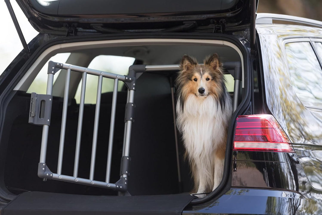 TRIXIE Hunde-Transportbox, Aluminium, M: 55 x 61 x 74 cm, grafit, stabil und geräuscharm, rutschfest