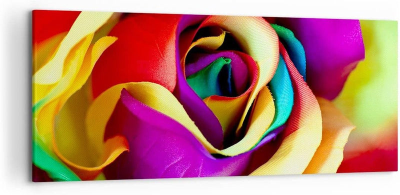 Wandbilder Dekoration Wohnzimmer Blume Farbe Rose Panorama Bilder auf Leinwand 120x50cm Leinwandbild