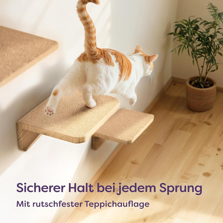 Katzen Kletterwand 3er Set – FSC® Kiefernholz für Spiel &amp; Abenteuer – Stabile Katzentreppe bis 30 kg