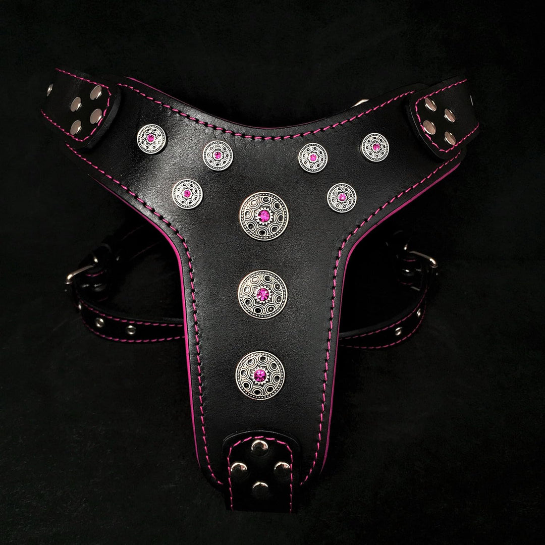 Bestia Bijou Hundegeschirr aus echtem Leder mit Nieten für mittelgrosse bis grosse Rassen 95 -145 cm