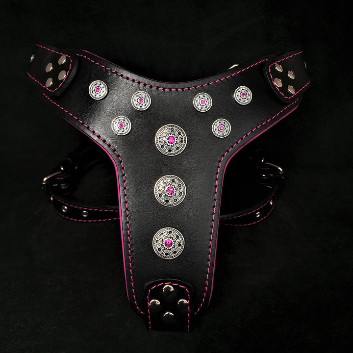 Bestia Bijou Hundegeschirr aus echtem Leder mit Nieten für mittelgrosse bis grosse Rassen 95 -145 cm