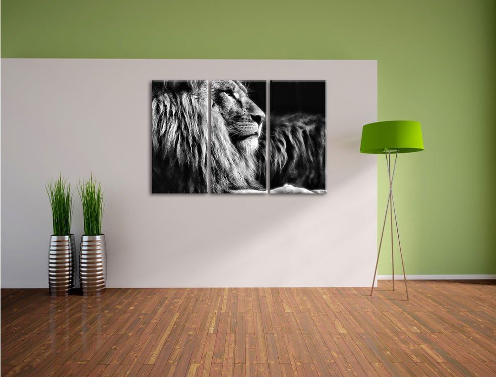 Pixxprint Majestätischer stolzer Löwe als Leinwandbild/Grösse: 3 Teilig (120x80) cm/Wandbild/Kunstdr