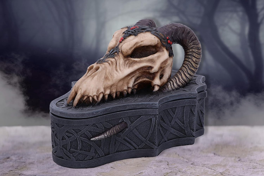 Nemesis Now Drachenschädel-Box (Monte Moore), Schwarz, 17,7 cm, 17.7cm
