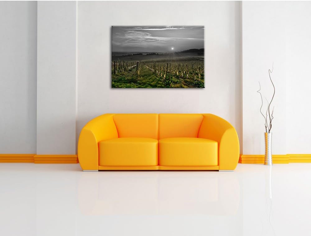 Pixxprint Weinberg in Bergerac Frankreich als Leinwandbild/Grösse: 100x70 cm/Wandbild/Kunstdruck/fer