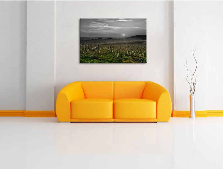Pixxprint Weinberg in Bergerac Frankreich als Leinwandbild/Grösse: 100x70 cm/Wandbild/Kunstdruck/fer