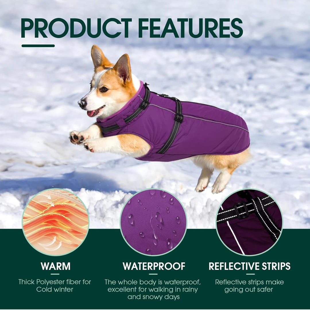 Kuoser Hundemantel für Mittelgrosse Hunde Winter, wasserdichte Hundejacke mit Geschirr, Warmer Winte