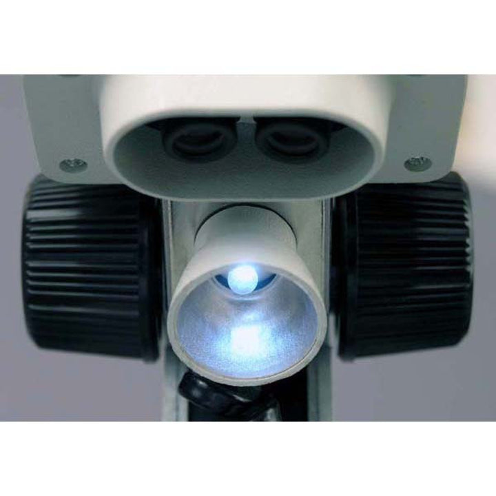 AmScope SE100 Kids Tragbares Binokulares Stereomikroskop, Okulare WF10x, 20-fache Vergrösserung, Wol