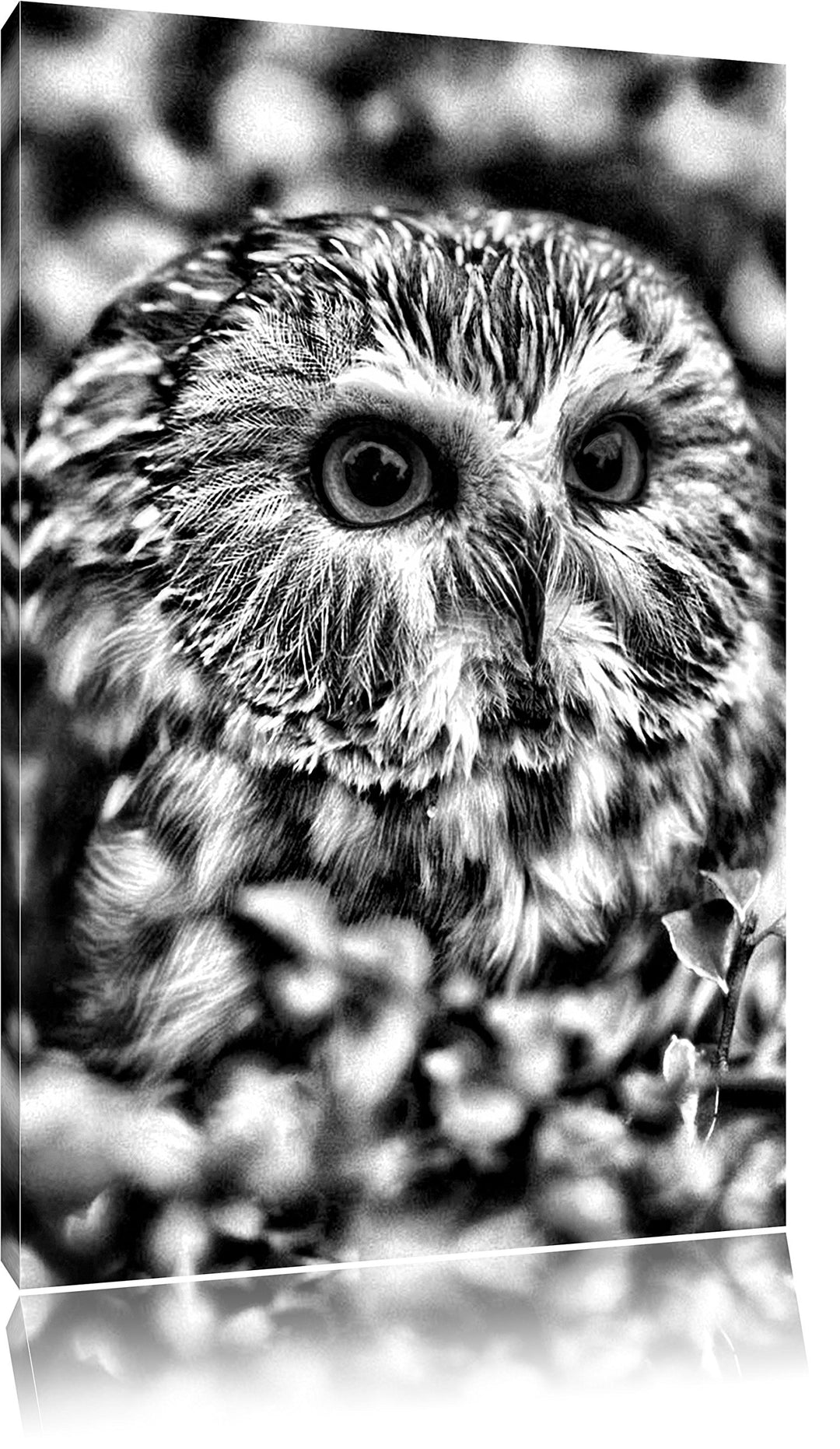 Pixxprint Eule im Vogelbeerenstrauch / 100x70cm Leinwandbild bespannt auf Holzrahmen/Wandbild Kunstd