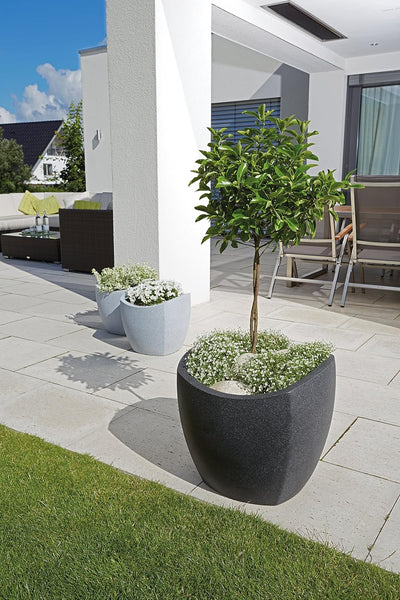 Scheurich Wave Globe Cubo, Pflanzgefäss aus Kunststoff, Schwarz-Granit, 40 cm Durchmesser, 35,5 cm h