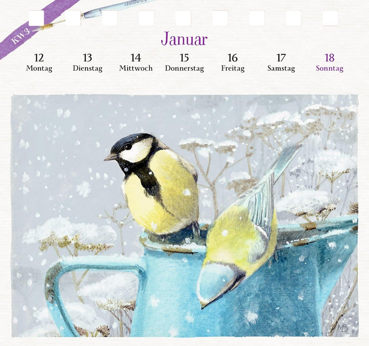 Kalender mit 53 Postkarten: 2026 - Blick in den Garten: Dekorativer Tischaufsteller mit Wochenkalend