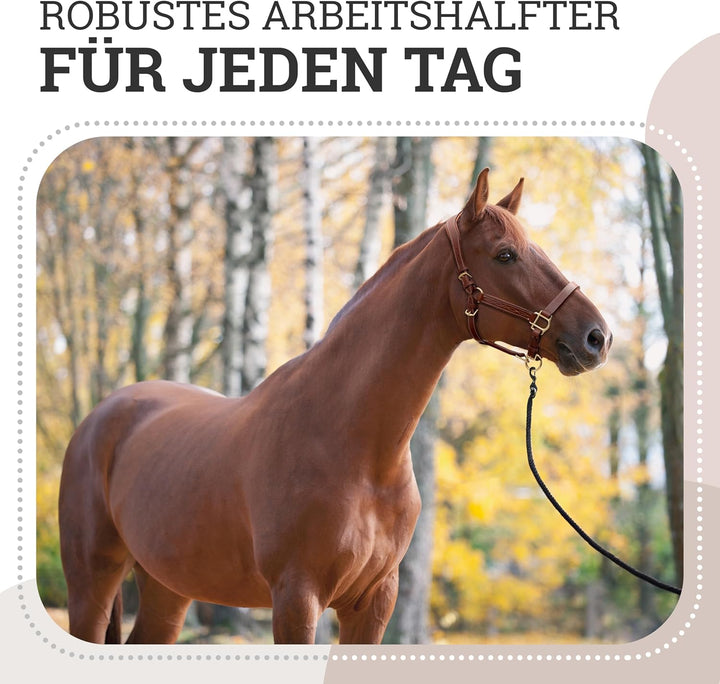 Esposita anatomisches Lederhalfter Deluxe Halfter aus Leder für Pferde Stallhalfter Pferdehalfter -