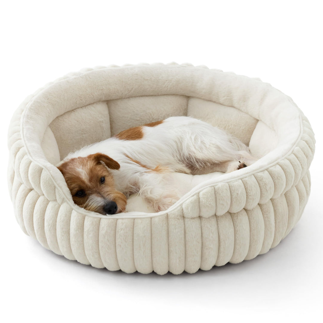 BEDSURE Flauschiges rundes Hundebett klein - 66 x 66 cm rundes Hundebett, waschbares grosses Katzenb