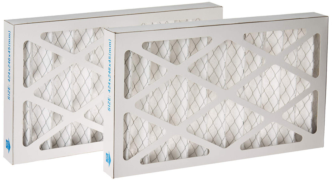 WEN 90243-027-2 5 Mikron Aussenluftfilter, 2er-Pack (für das WEN 3410 Luftfiltersystem) Für Holzbear