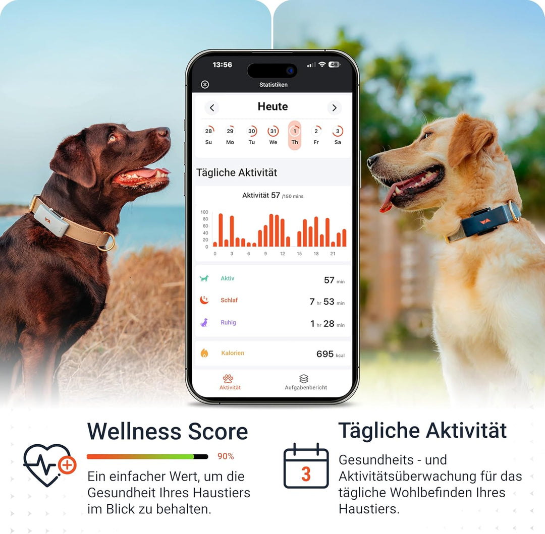 PAJ GPS Tracker für Hunde - 4G - Weglaufalarme + weltweite Live-Ortung - bis zu 10 Tage Akkusparmodu