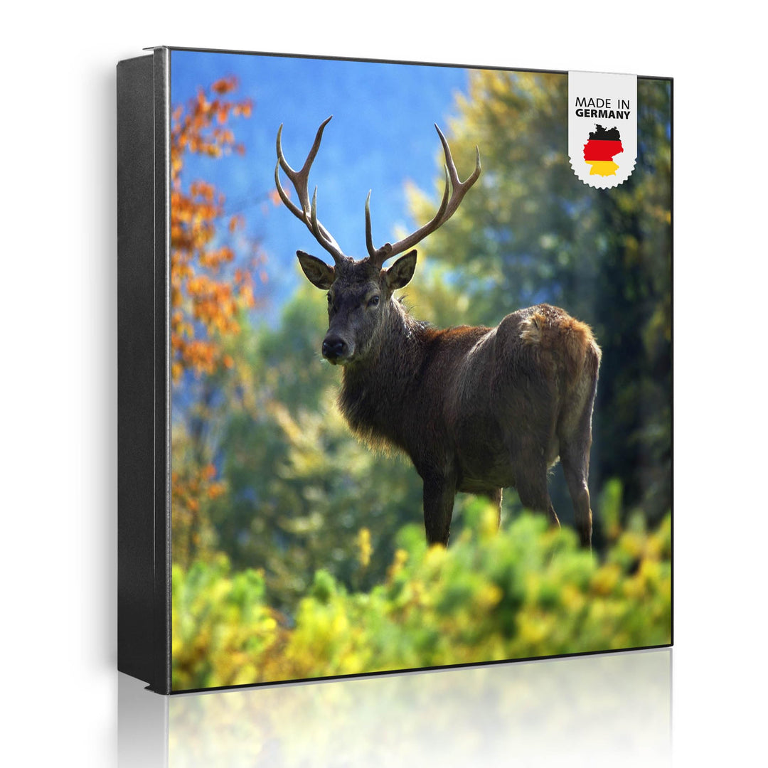 banjado® Grosser Schlüsselkasten Glas/Schlüsselbox 30cm x 30cm mit 50 Haken - Motiv Hirsch/Schlüssel