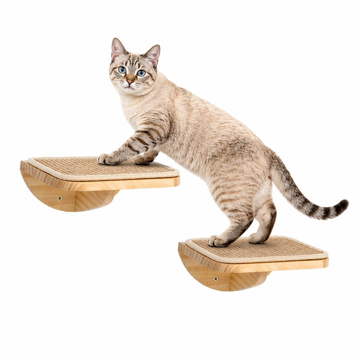 Katzen Kletterwand, Katzenleiter 2er-Set mit Kratzmatte, Wandmontiertes Kiefernholz Katzentreppe Wan
