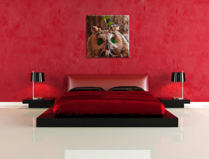 Pixxprint Wachsame Eule, Format: 70x70 auf Leinwand, XXL riesige Bilder fertig gerahmt mit Keilrahme