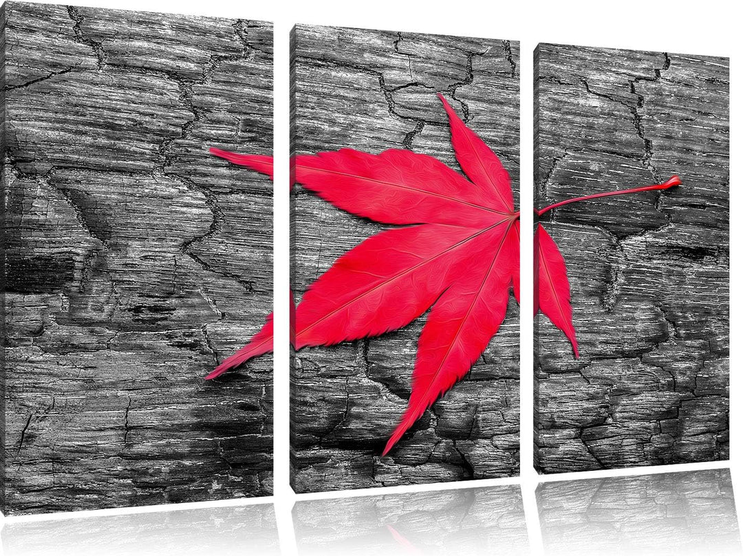 Rotes Ahornblatt im Herbst schwarz/weiss 3-Teiler Leinwandbild 120x80 Bild auf Leinwand, XXL riesige