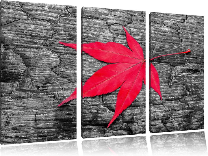 Rotes Ahornblatt im Herbst schwarz/weiss 3-Teiler Leinwandbild 120x80 Bild auf Leinwand, XXL riesige