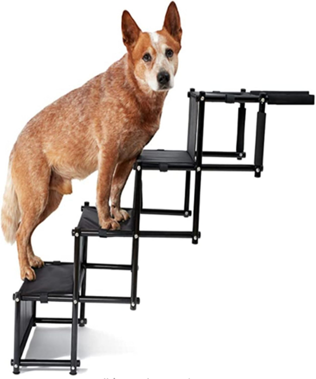 Homewell Hunderampe Auto Klappbar - Bis 70 kg Belastbar - Leicht zu Lagern - Treppe für Hunde mit Ve